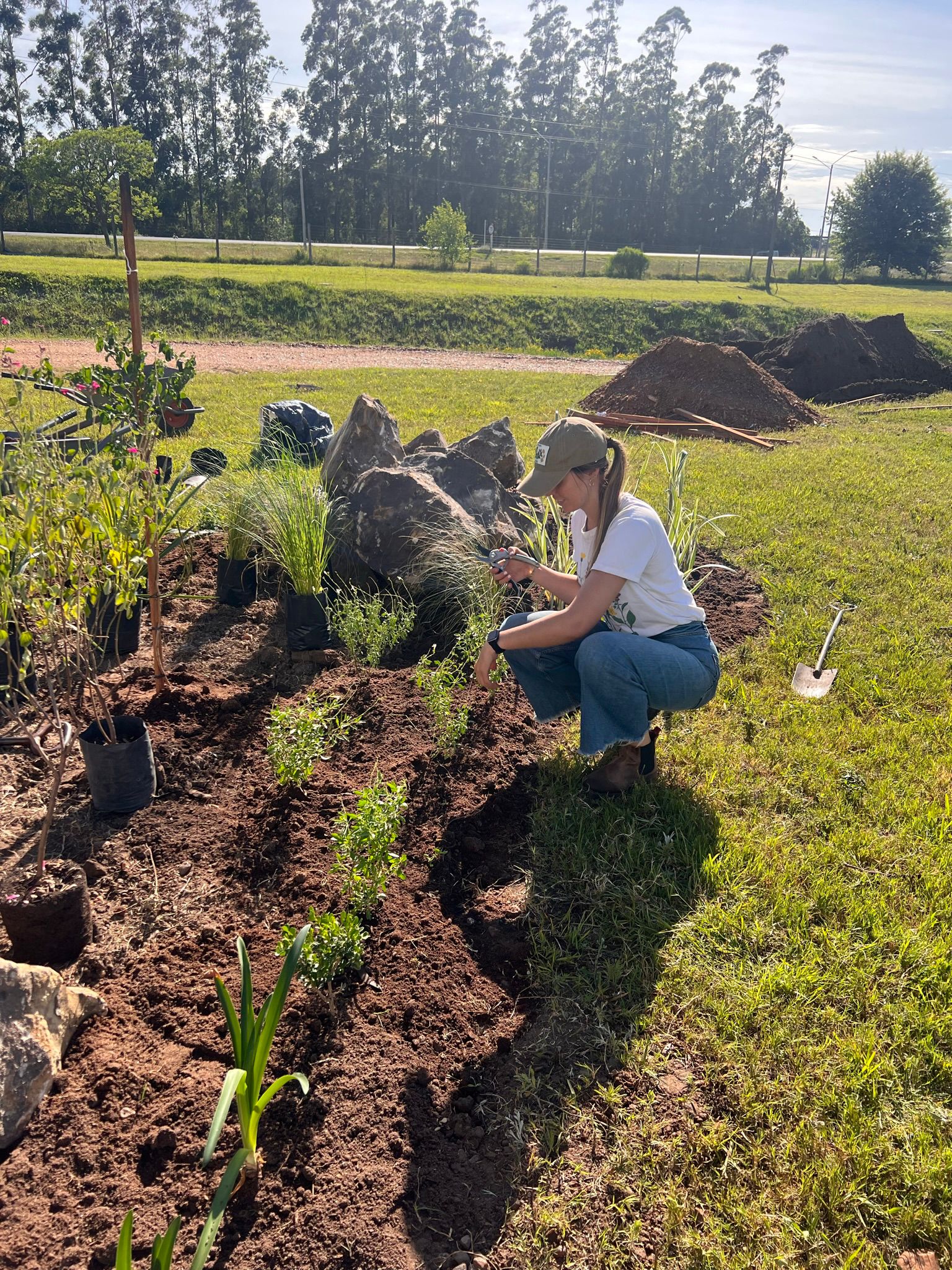 WhatsApp Image 2026 01 10 At 19.02.54