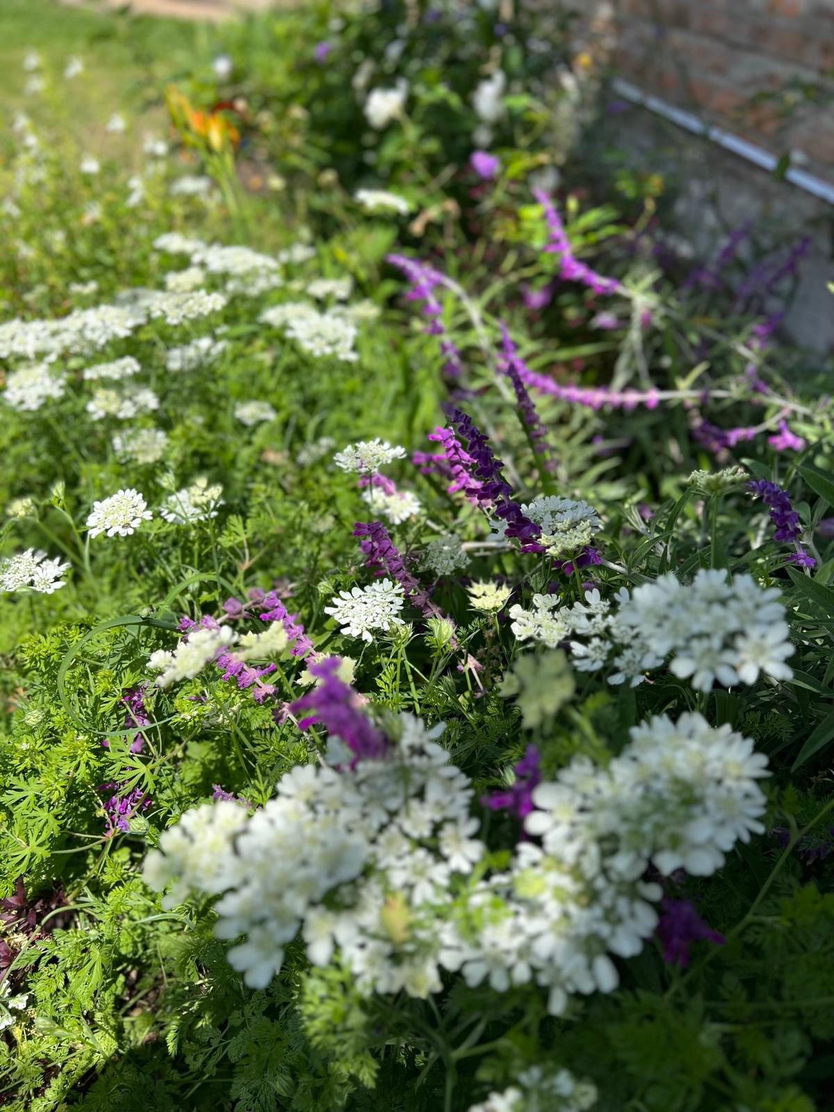 Espacio exterior integrado