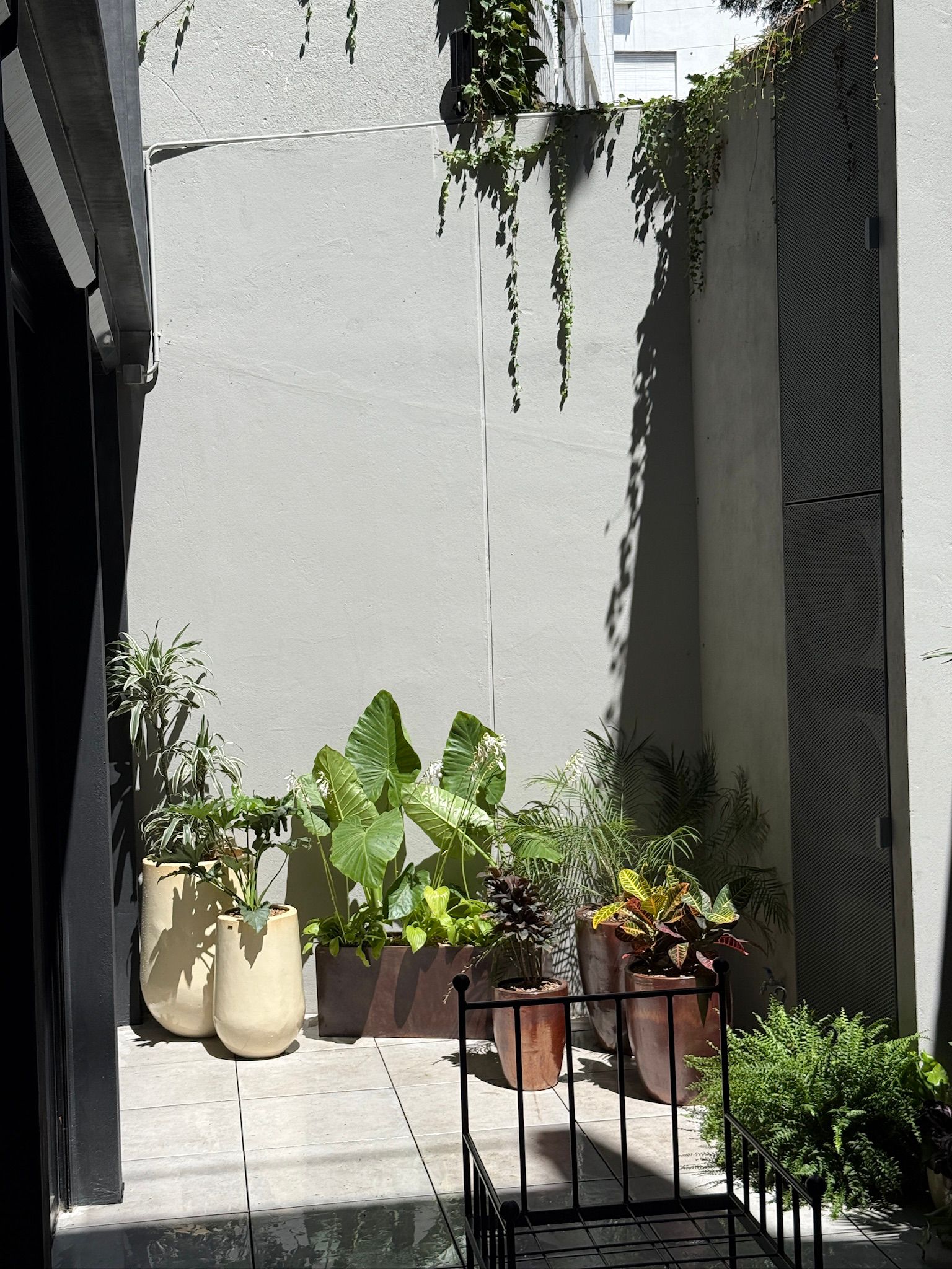 Vegetación y composición