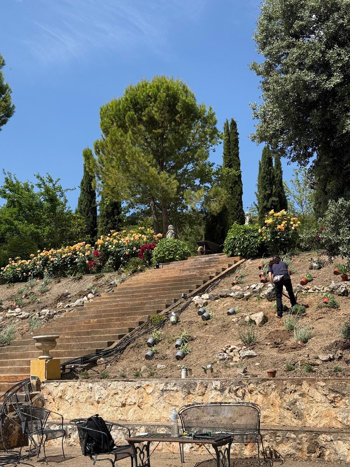 Jardín y vegetación